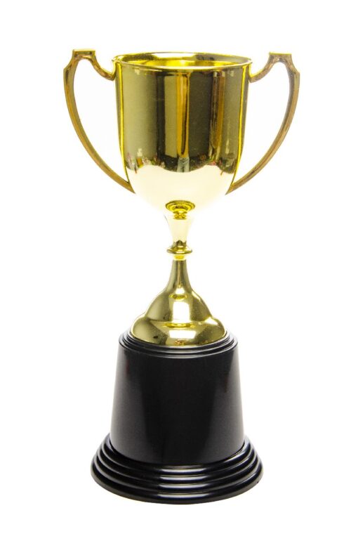 WINNER TROPHY PPH
