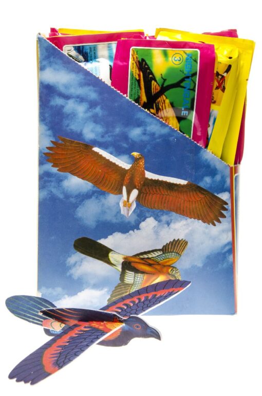 FLYING GLIDER BIRD