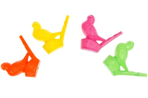 BIRD WATERWHISTLE