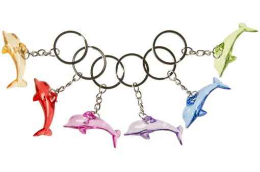 KC DOLPHINS 3ASS COL