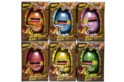 XL DINOSAUR GROWING EGG BOX