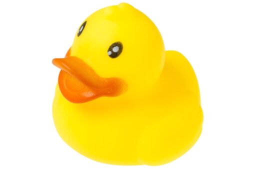 FUNNY DUCKS PPH