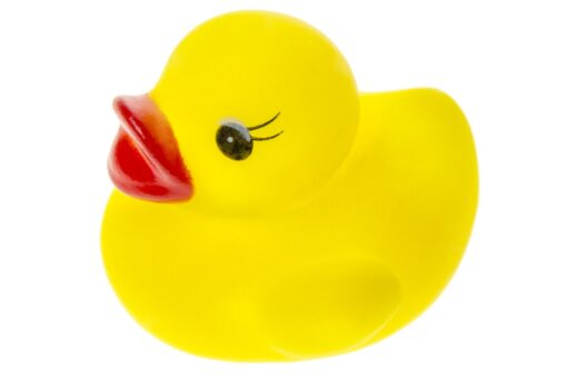YELLOW DUCKS MINI