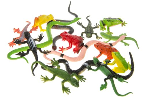 REPTILES VBH