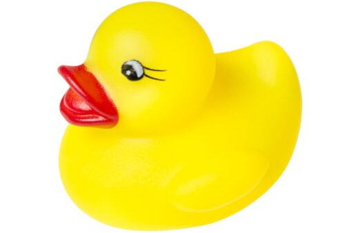 DUCKS YELLOW S