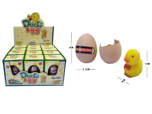DUCK GROWING EGG
