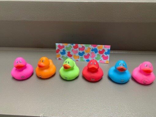 DUCK EMOTION FACES