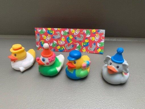DUCK CIRCUS