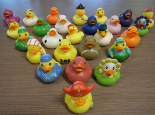 2' DUCK MIX - LABELLED PER BAG
