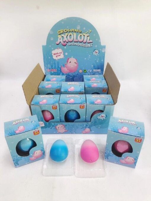 GROWING EGG AXOLOTL