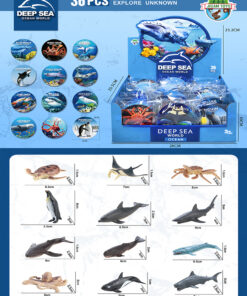 SEA ANIMALS W CARD
