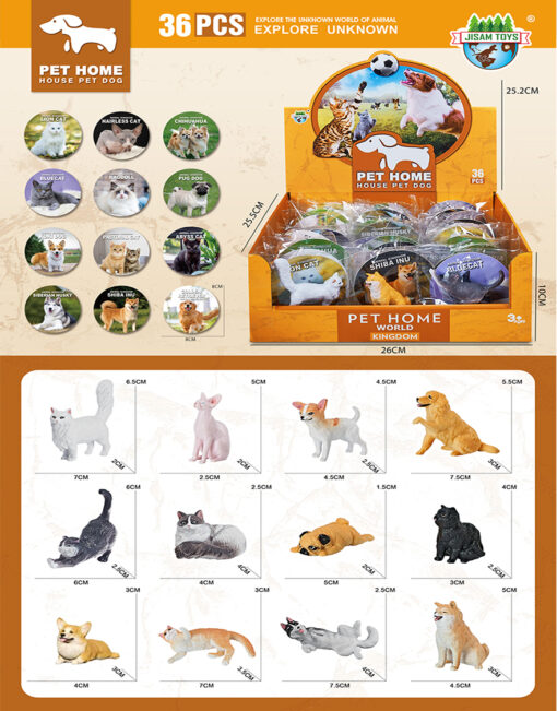 CAT & DOG W CARD
